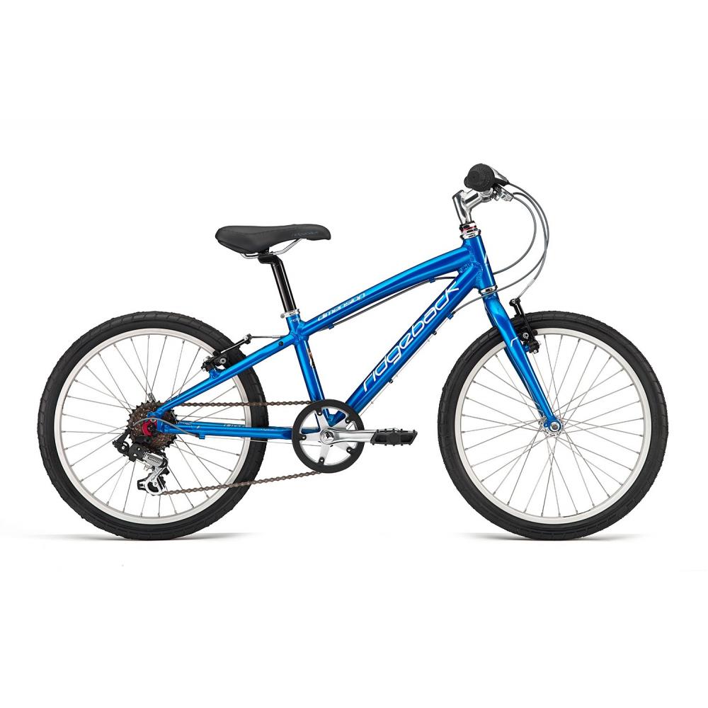 ridgeback dimension 20 review